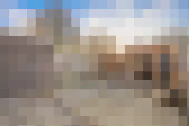 Travertijndijk 24 Roosendaal thumbnail 34