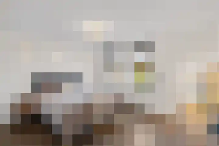 Travertijndijk 24 Roosendaal thumbnail 4