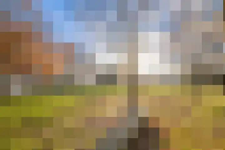 Travertijndijk 24 Roosendaal thumbnail 44