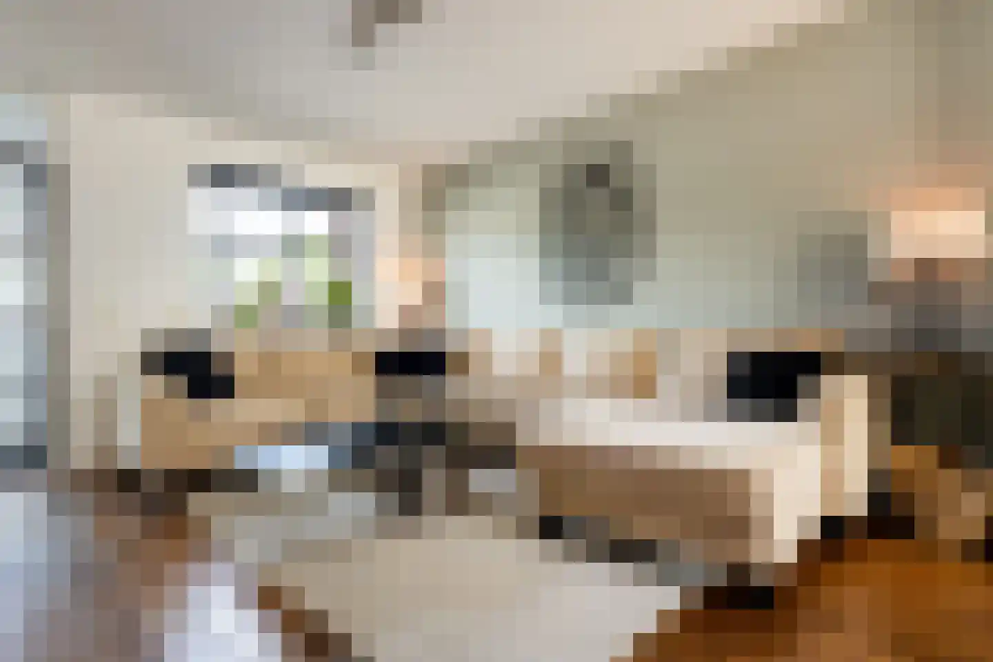 Travertijndijk 46 Roosendaal thumbnail 4