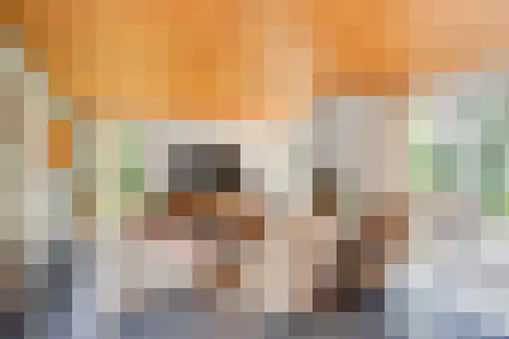Travertin 11 't Harde thumbnail 11