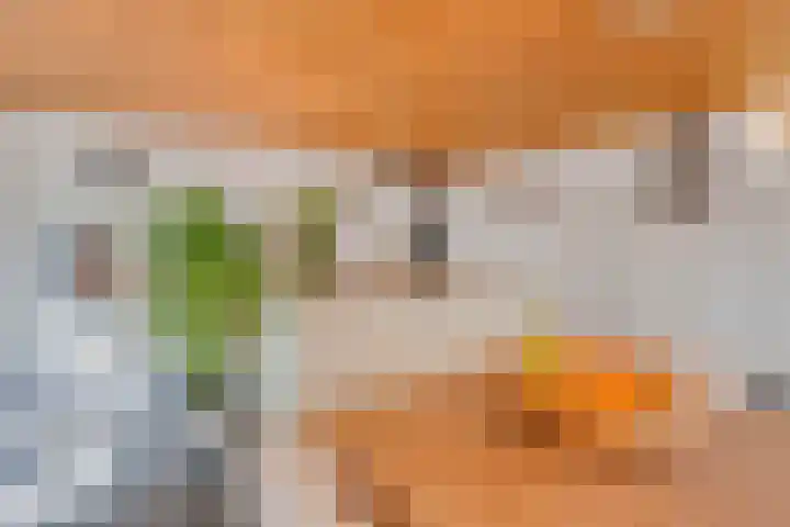 Travertin 11 't Harde thumbnail 23