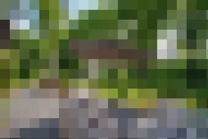 Travertin 11 't Harde thumbnail 47