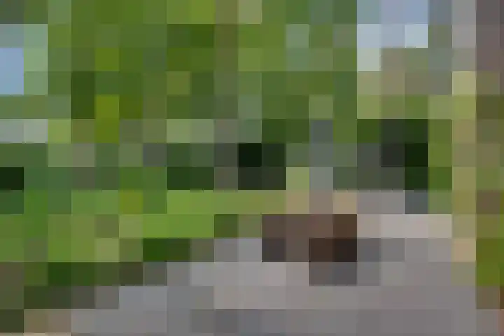 Travertin 11 't Harde thumbnail 48