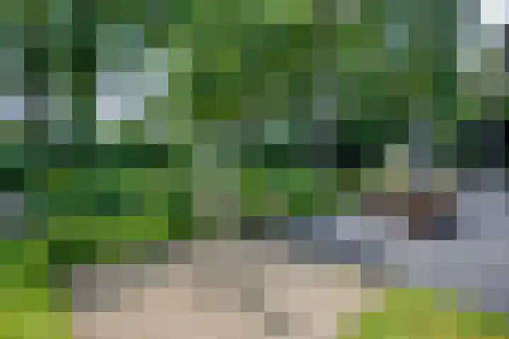 Travertin 11 't Harde thumbnail 49