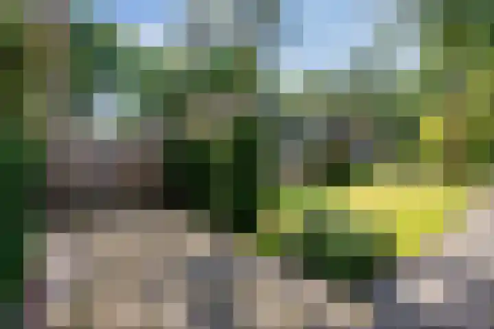 Travertin 11 't Harde thumbnail 5