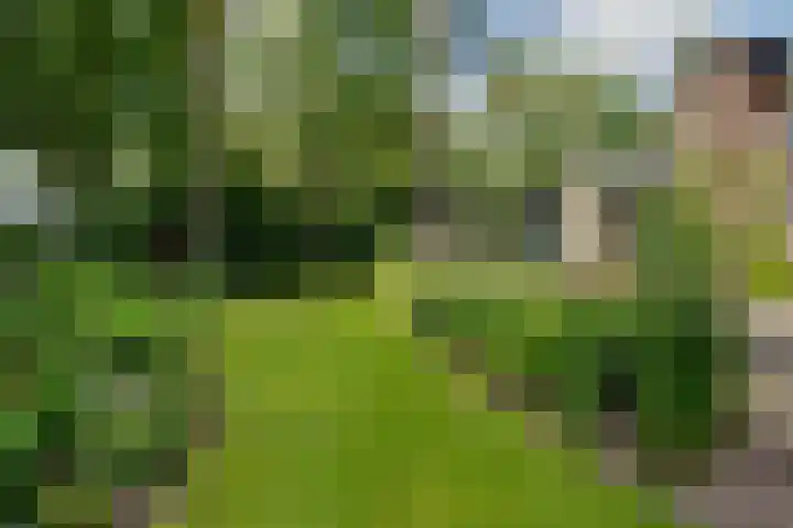 Travertin 11 't Harde thumbnail 51