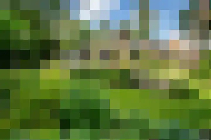 Travertin 11 't Harde thumbnail 52