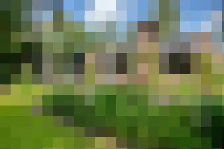 Travertin 11 't Harde thumbnail 53