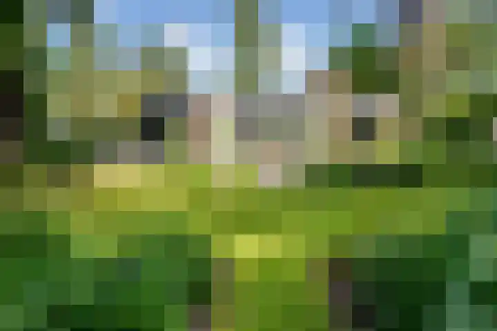 Travertin 11 't Harde thumbnail 54