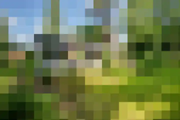 Travertin 11 't Harde thumbnail 55