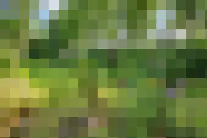 Travertin 11 't Harde thumbnail 56