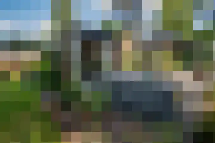 Travertin 11 't Harde thumbnail 57
