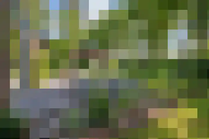 Travertin 11 't Harde thumbnail 58