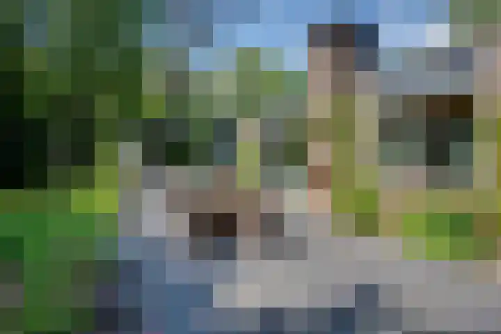 Travertin 11 't Harde thumbnail 59