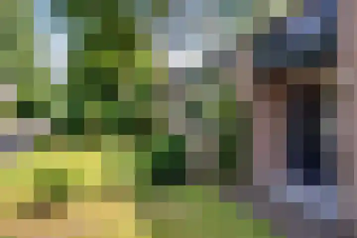 Travertin 11 't Harde thumbnail 6