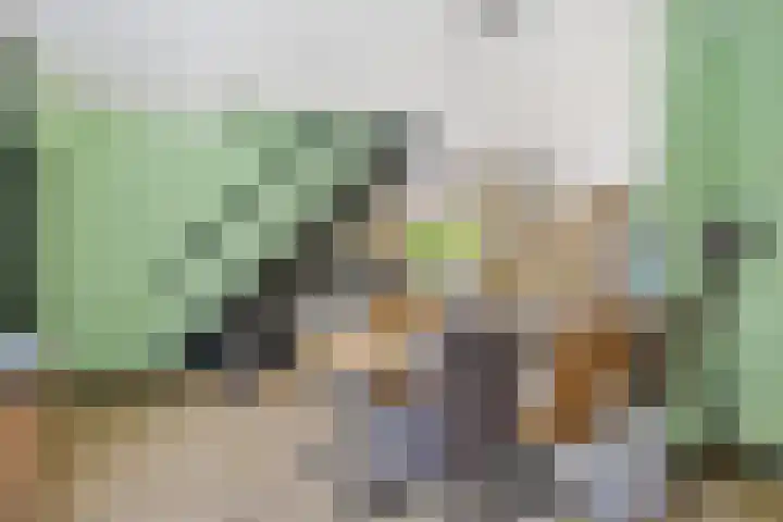 Travertin 30 't Harde thumbnail 17