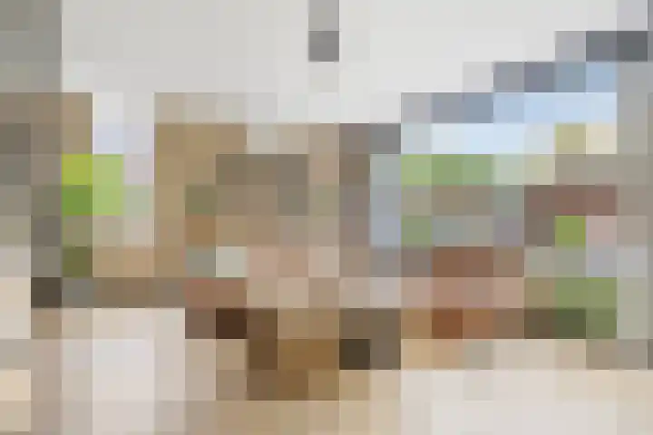 Travertin 30 't Harde foto 3