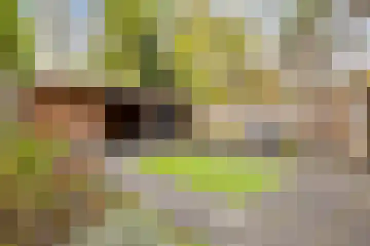 Travertin 30 't Harde thumbnail 39