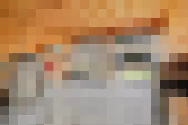 Travertin 30 't Harde thumbnail 41