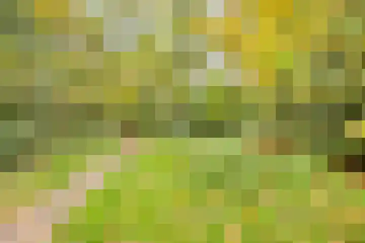 Travertin 30 't Harde thumbnail 43