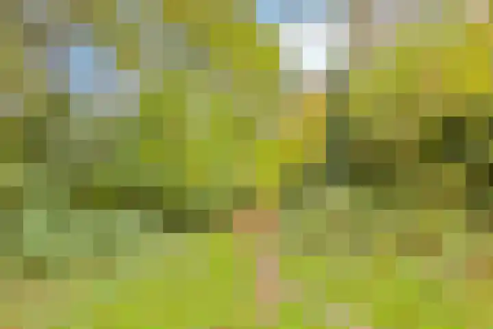 Travertin 30 't Harde thumbnail 44