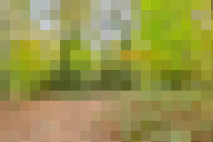 Travertin 30 't Harde thumbnail 45