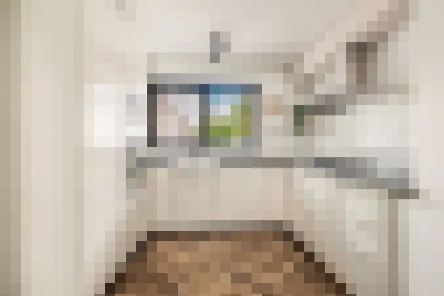 Traviatastraat 19 Alkmaar thumbnail 13