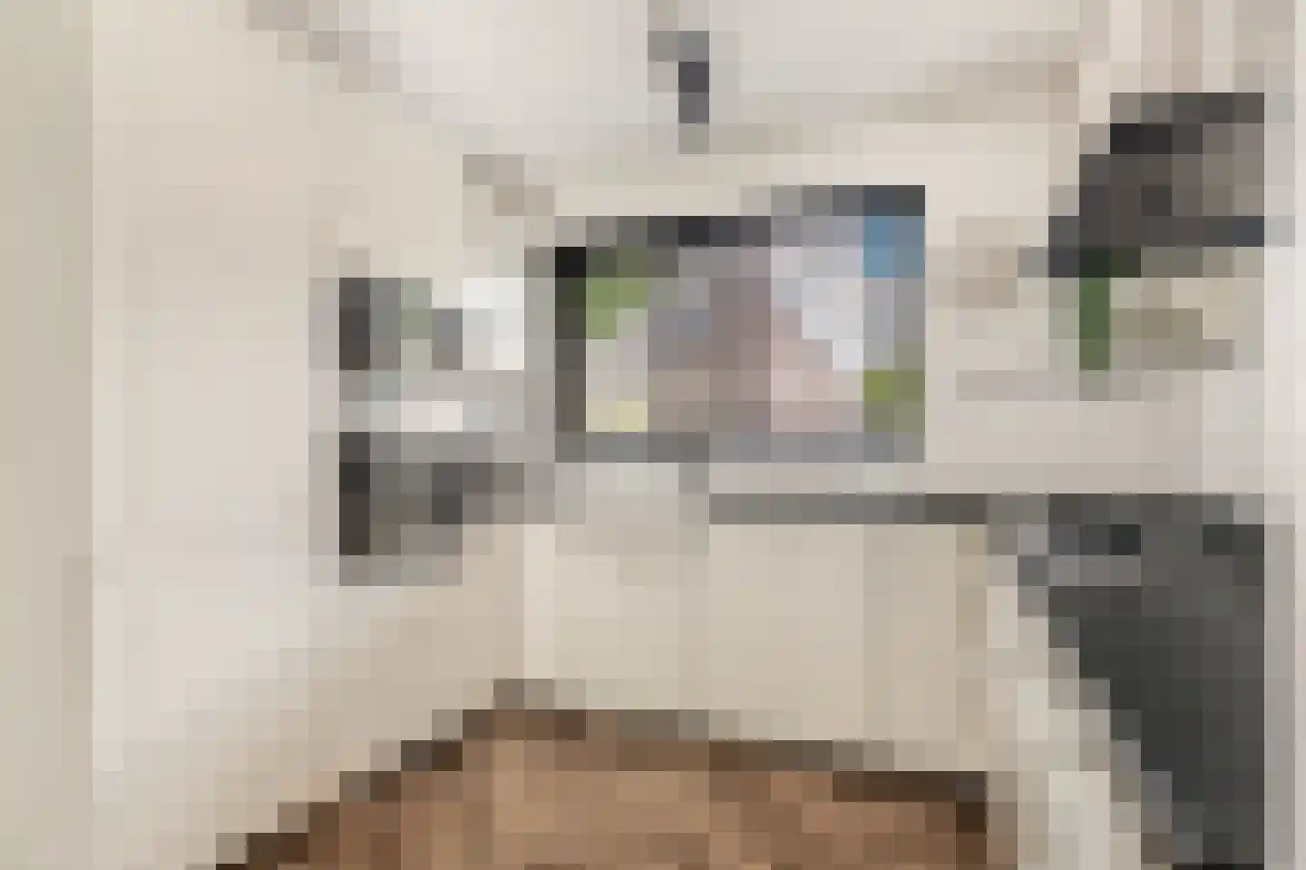 Traviatastraat 19 Alkmaar thumbnail 14