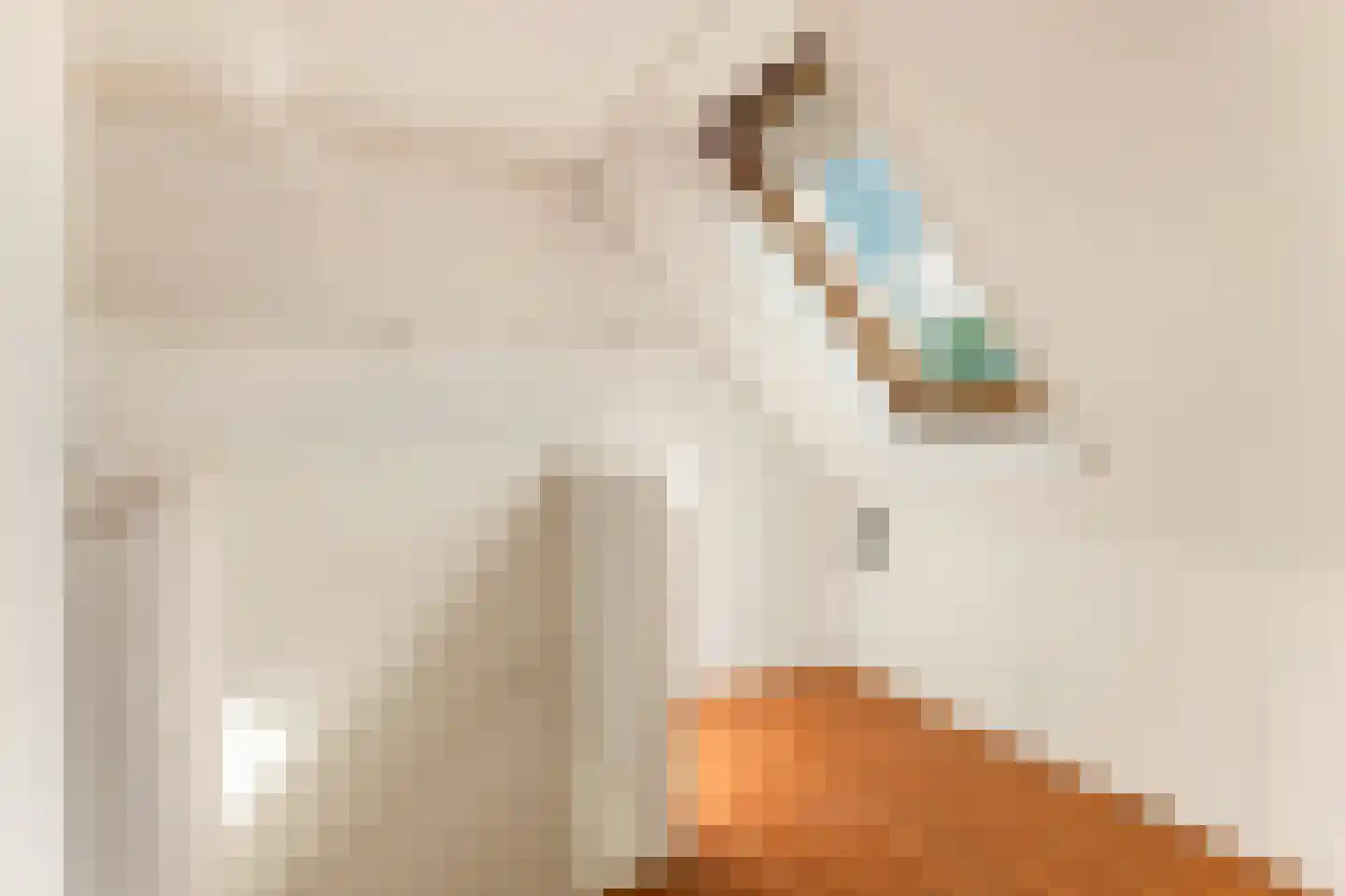 Traviatastraat 19 Alkmaar thumbnail 33