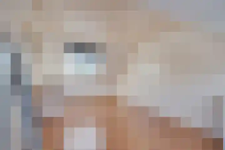 Traviatastraat 23 Alkmaar thumbnail 24