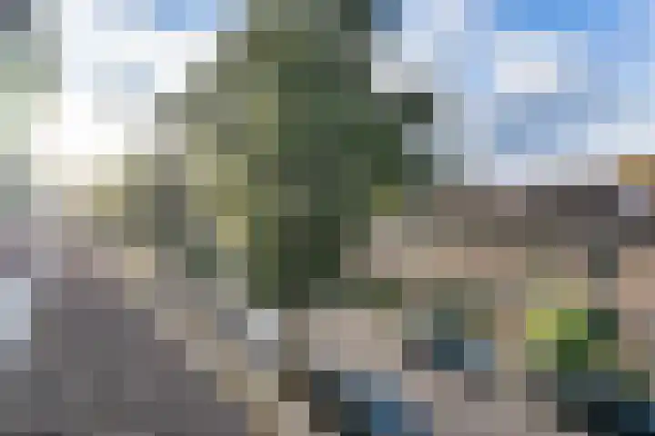Traviatastraat 23 Alkmaar thumbnail 26