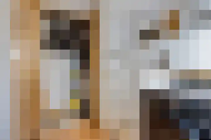 Traviatastraat 23 Alkmaar thumbnail 28