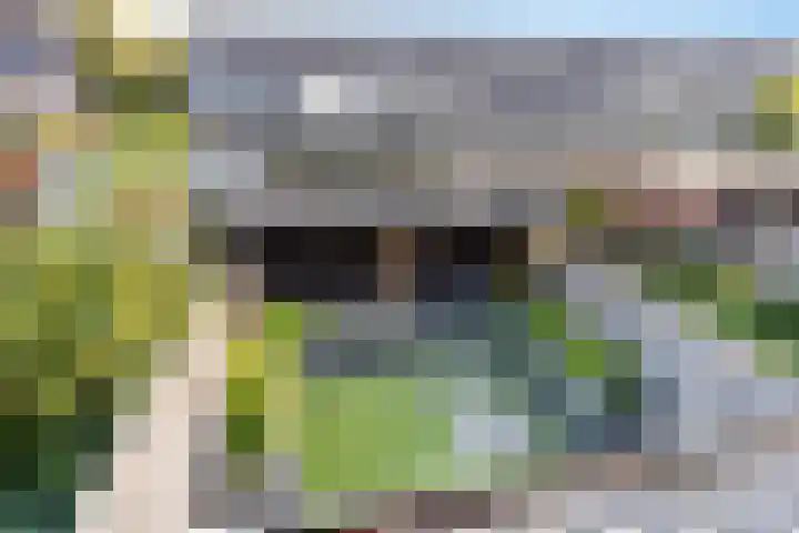 Traviatastraat 23 Alkmaar thumbnail 31