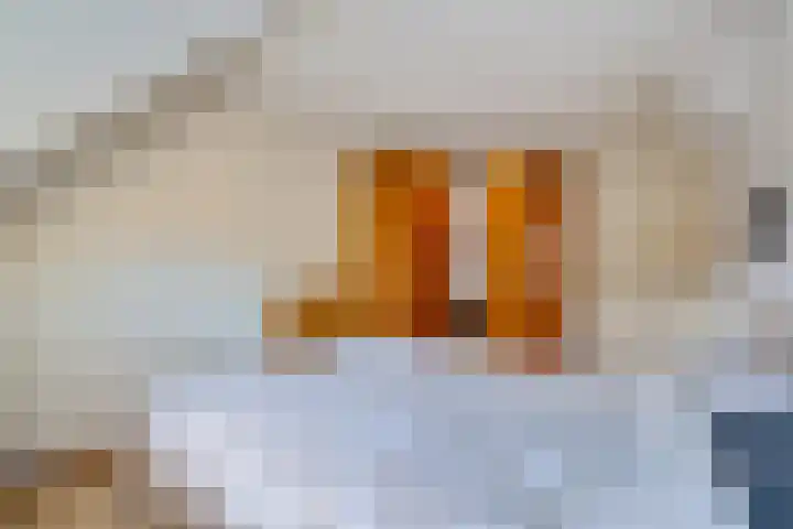 Traviatastraat 23 Alkmaar thumbnail 33