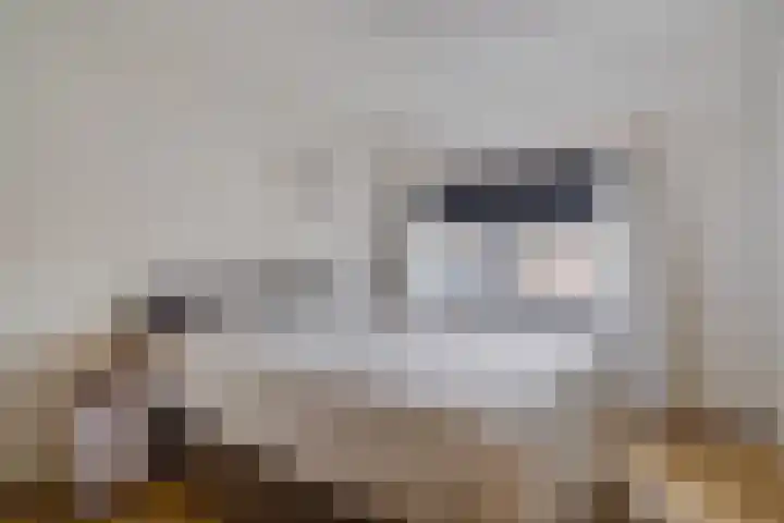 Traviatastraat 23 Alkmaar thumbnail 34