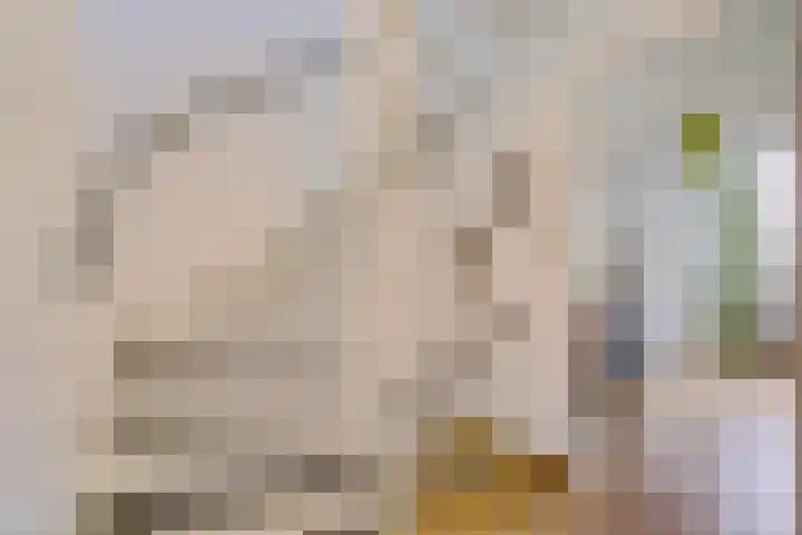 Traviatastraat 23 Alkmaar thumbnail 36