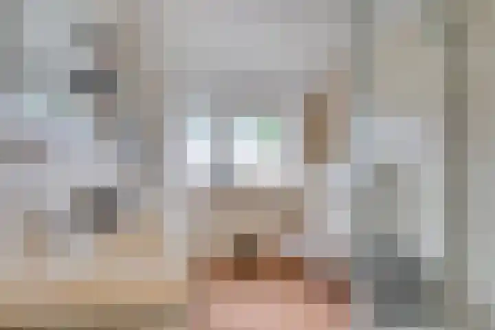 Traviatastraat 23 Alkmaar thumbnail 37