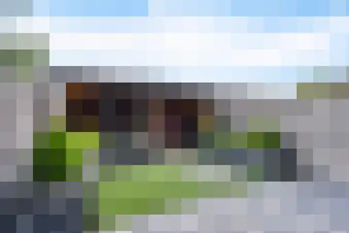 Traviatastraat 23 Alkmaar thumbnail 42