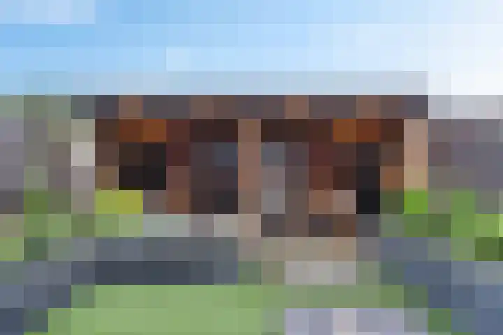 Traviatastraat 23 Alkmaar thumbnail 44