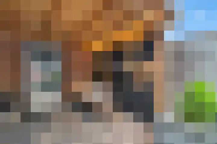 Traviatastraat 23 Alkmaar thumbnail 45