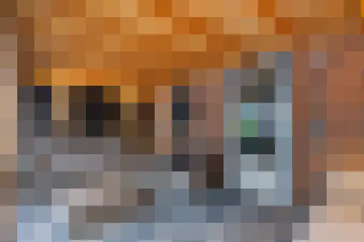 Traviatastraat 23 Alkmaar thumbnail 46