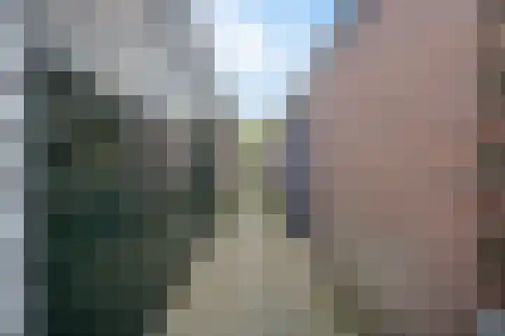Traviatastraat 23 Alkmaar thumbnail 48
