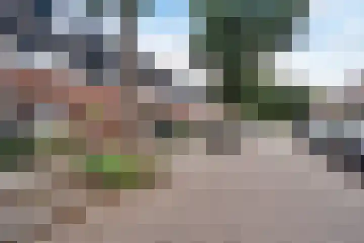 Traviatastraat 23 Alkmaar thumbnail 7