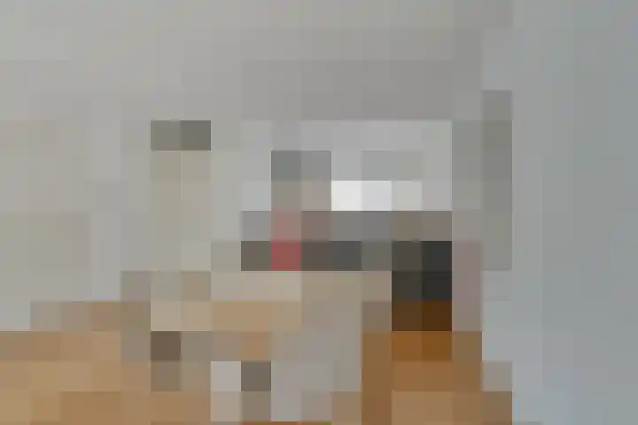 Traviatastraat 33 Alkmaar thumbnail 11