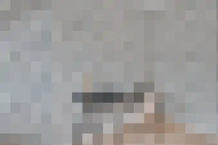 Traviatastraat 33 Alkmaar thumbnail 22