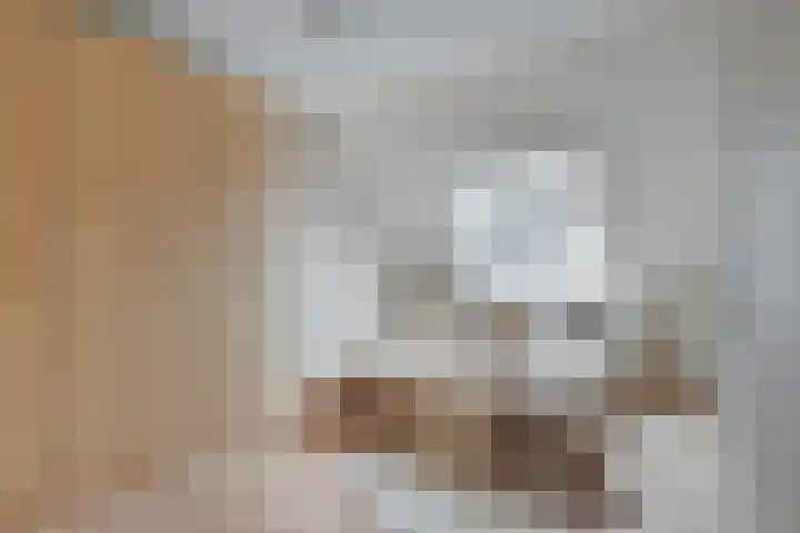 Traviatastraat 33 Alkmaar thumbnail 23