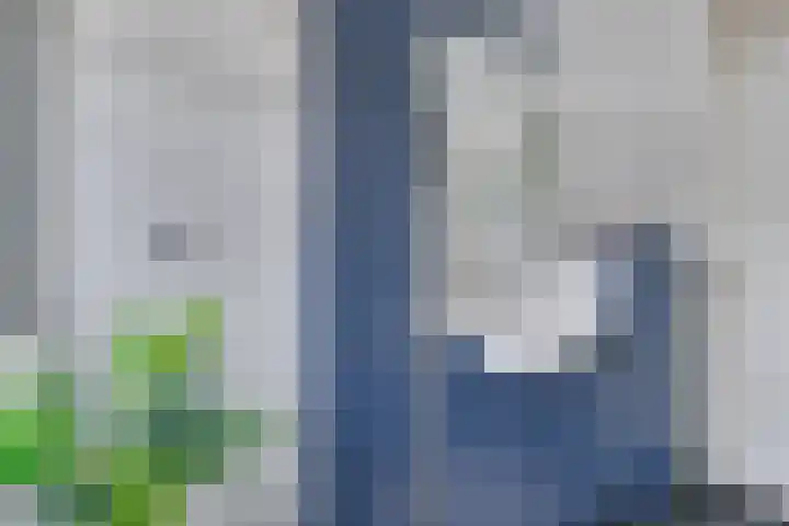 Traviatastraat 33 Alkmaar thumbnail 32