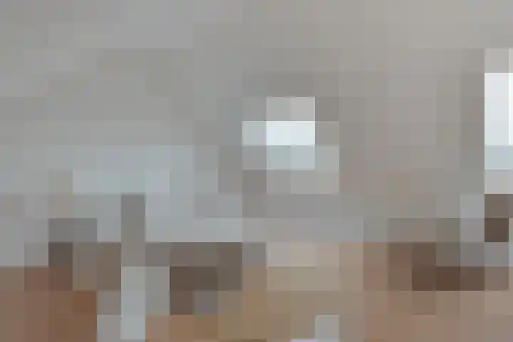 Traviatastraat 33 Alkmaar thumbnail 36