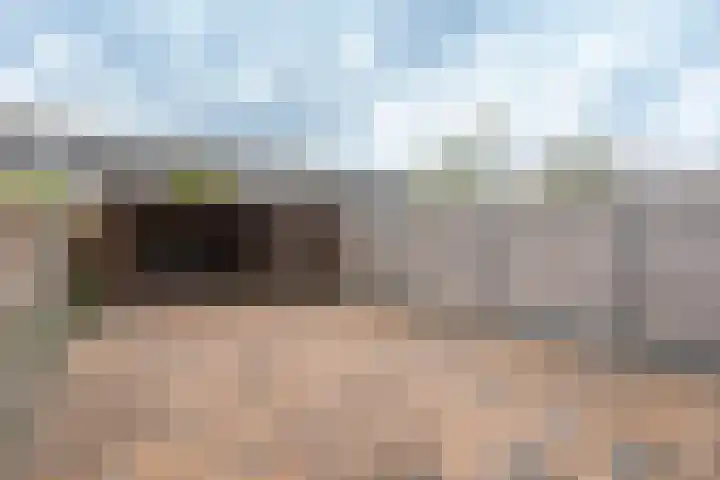 Traviatastraat 33 Alkmaar thumbnail 4